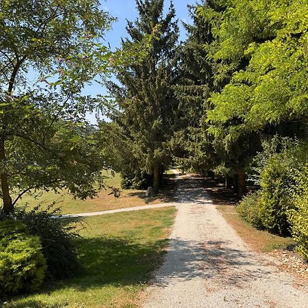 Fonfa Liget Otel Sénye Dış mekan fotoğraf
