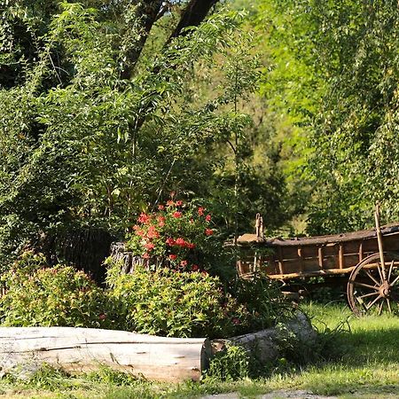 Fonfa Liget Otel Sénye Dış mekan fotoğraf