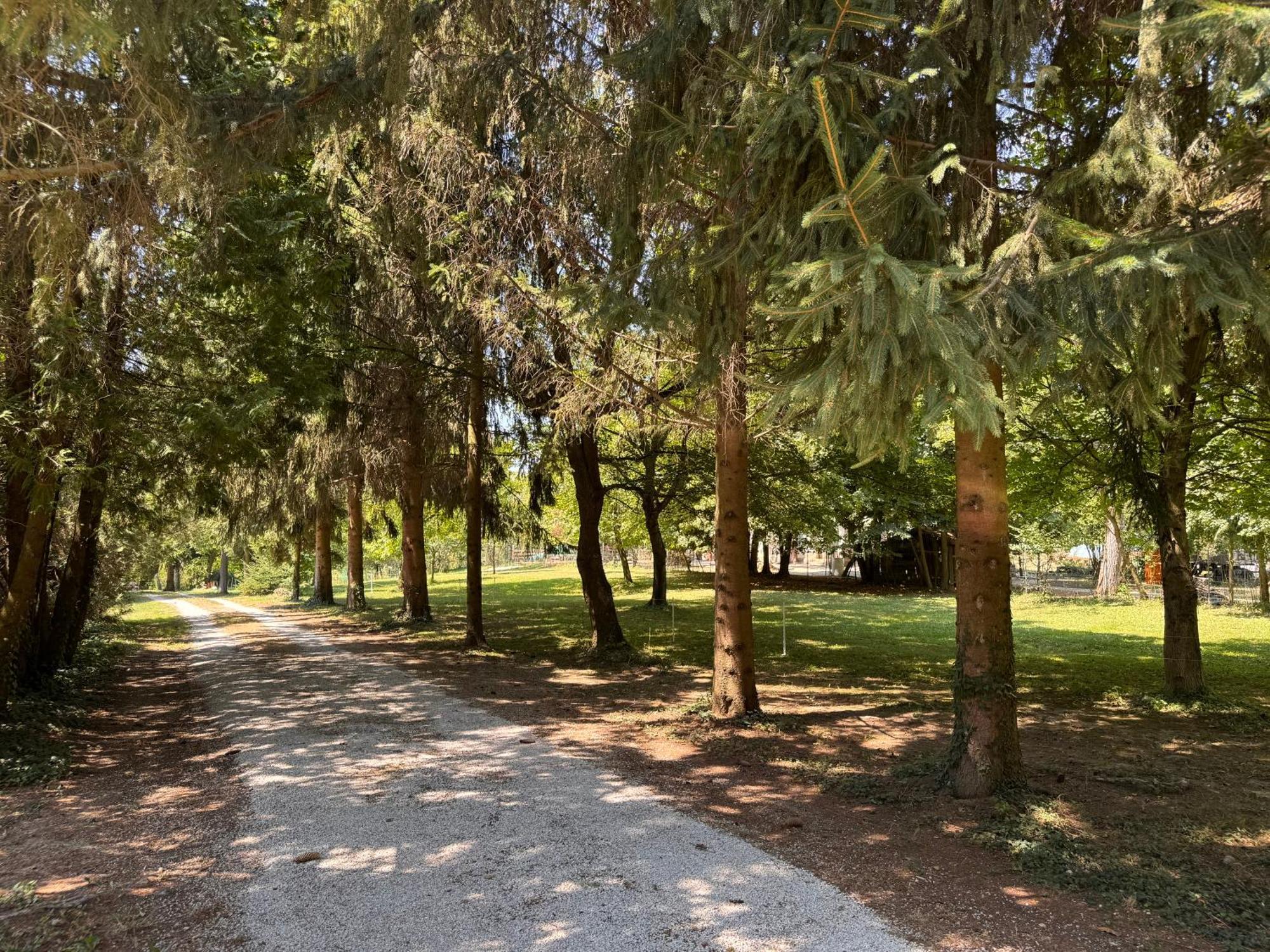 Fonfa Liget Otel Sénye Dış mekan fotoğraf